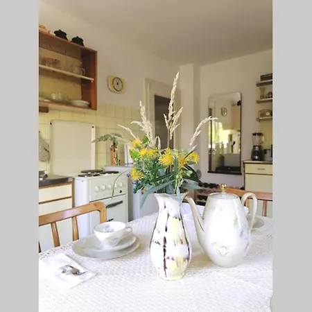 Vendégház Dimai House 1950s